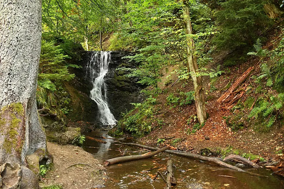 Landschaft und Sehenswürdigkeiten in Harz für Busreise Harz mit Schifffahrt – Reiseguide