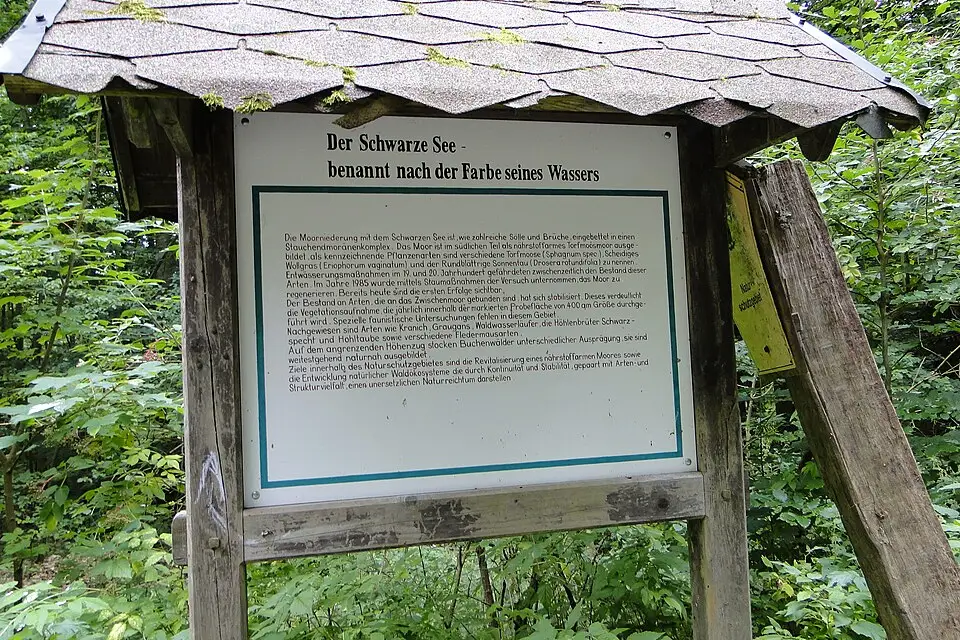 Authentischer Reisemoment in Mecklenburgischen Seenplatte – passend zu Mecklenburgische Seenplatte – Reisezeit-Ratgeber