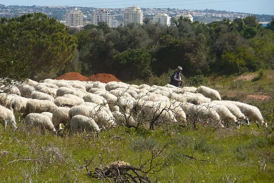 Authentischer Reisemoment in Algarve – passend zu Busreise Algarve ab Stuttgart – Reisecheck