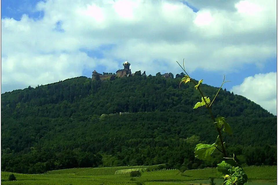 Authentischer Reisemoment in Elsass – passend zu Genussreise Elsass mit dem Bus – ehrlich eingeordnet