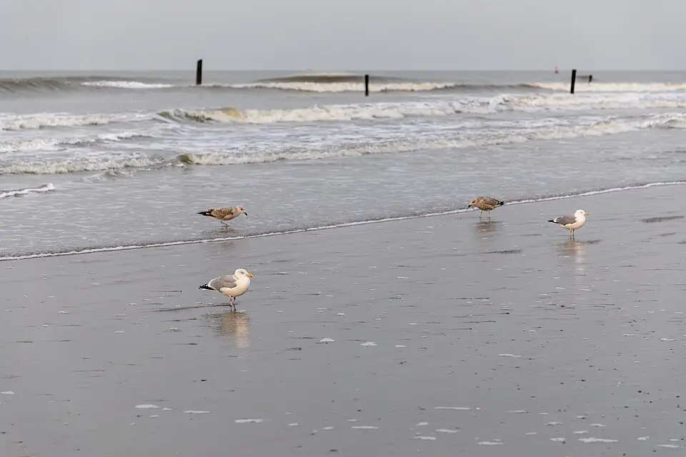 Stimmungsvolle Reiseansicht aus Nordsee für Busreise Nordsee mit Rollator – Route & Leistungen
