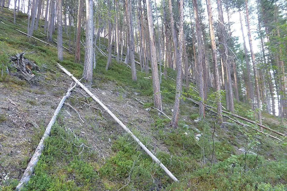 Authentischer Reisemoment in Finnland – passend zu Naturreise Finnland mit dem Bus – ehrlich eingeordnet