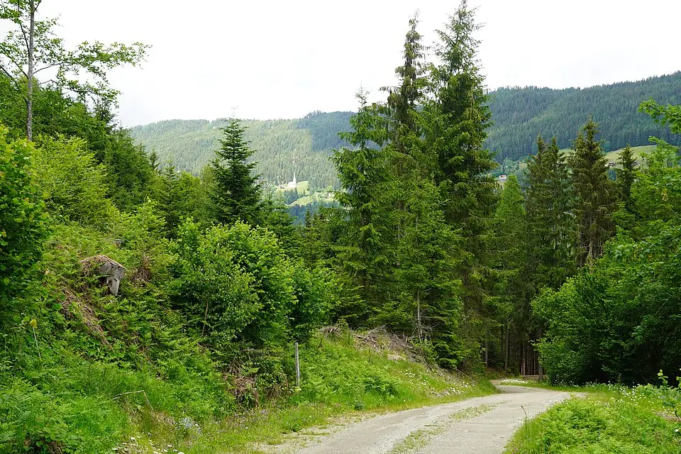 Landschaft und Sehenswürdigkeiten in Kärnten für Wellnessreise Kärnten mit dem Bus – ehrlich eingeordnet