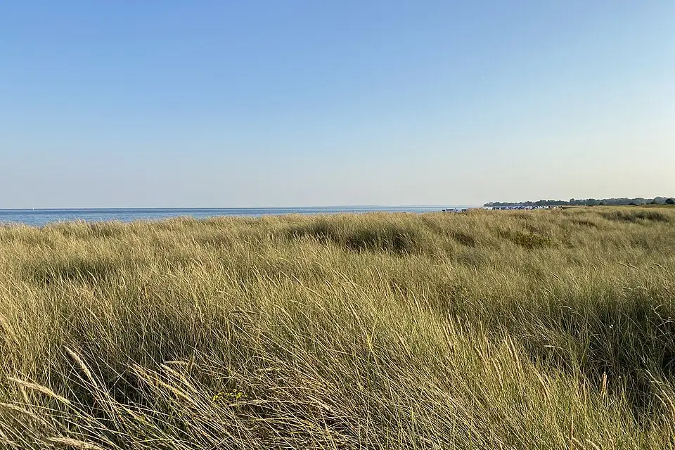 Landschaft und Sehenswürdigkeiten in Ostsee für Busreise Ostsee im Frühling – Reisecheck