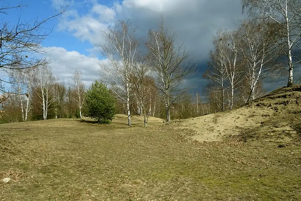 Landschaft und Sehenswürdigkeiten in Dresden für Busreise Dresden mit Rollator – Reiseguide
