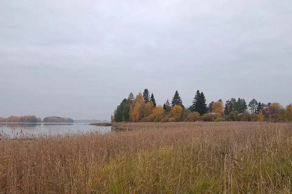 Authentischer Reisemoment in Finnland – passend zu Busreise Finnland mit Schifffahrt – Reisecheck