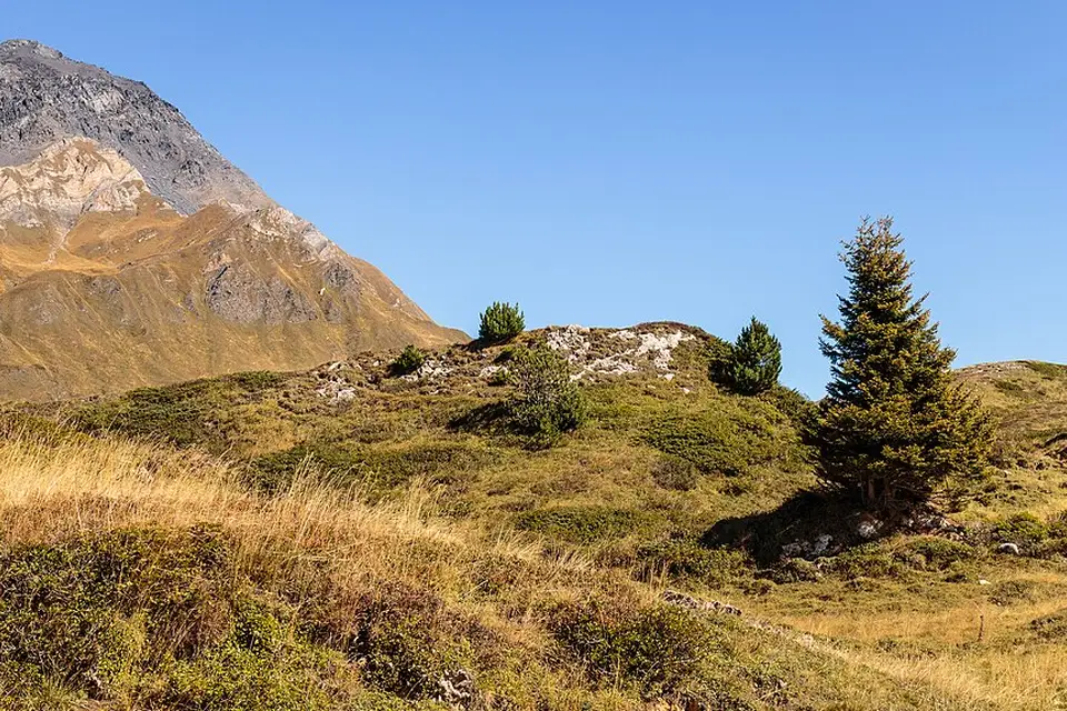 Landschaft und Sehenswürdigkeiten in Tessin für Busreise Tessin mit Haustürabholung – Dauer & Komfort