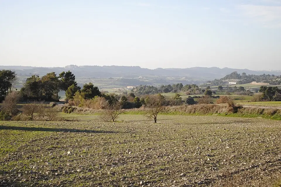 Landschaft und Sehenswürdigkeiten in Barcelona für Busreise Barcelona mit Panoramabahn – Route & Leistungen