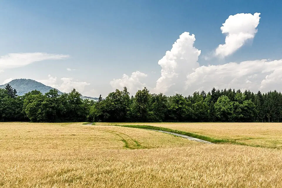 Authentischer Reisemoment in Kärnten – passend zu Kulturreise Kärnten mit dem Bus – Route & Leistungen