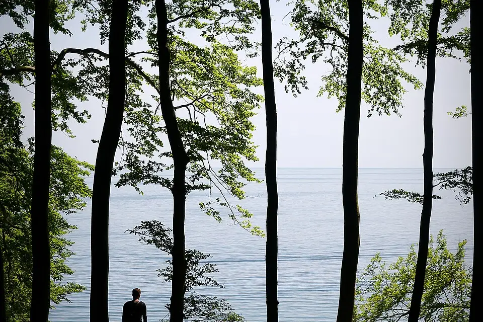 Landschaft und Sehenswürdigkeiten in Rügen für Busreise Rügen mit Reiseleitung – Reisecheck