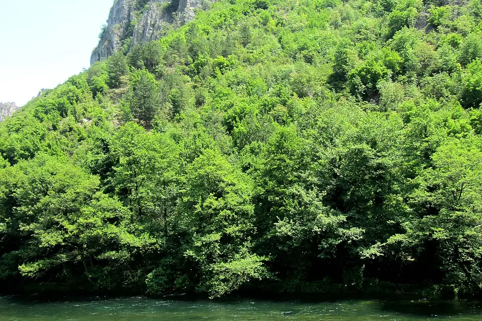 Authentischer Reisemoment in Nordmazedonien – passend zu Nordmazedonien – Seniorenreise mit Abholservice