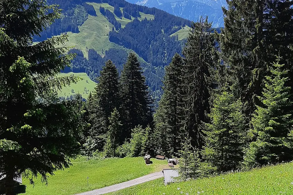 Authentischer Reisemoment in Vorarlberg – passend zu Busreise Vorarlberg im Sommer – ehrlich eingeordnet