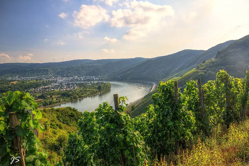 Landschaft und Sehenswürdigkeiten in Rhein für Vereinsreise Romantischer Rhein mit dem Bus – Dauer & Komfort