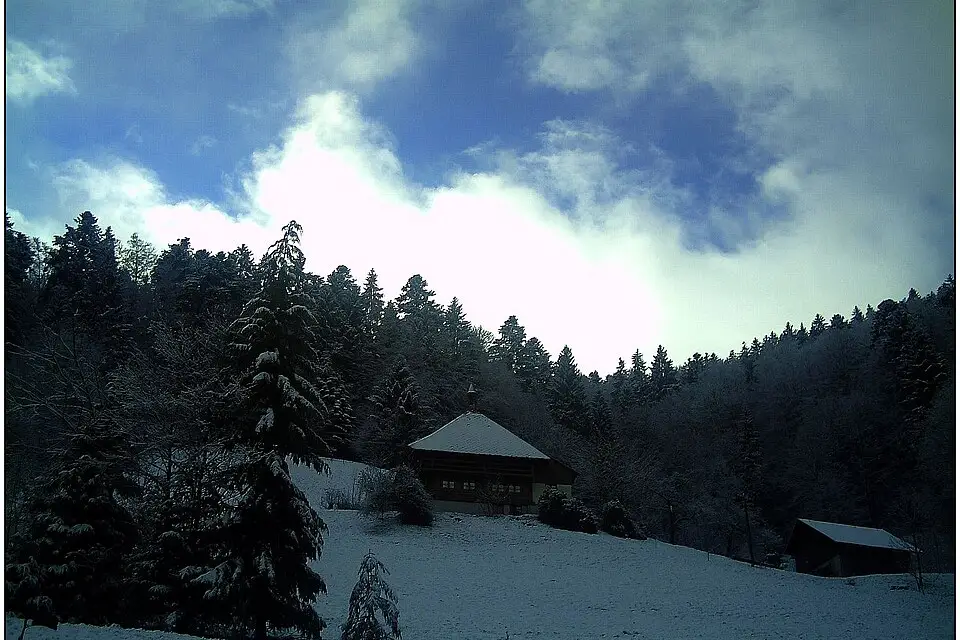 Authentischer Reisemoment in Schwarzwald – passend zu Gruppenreise Schwarzwald mit dem Bus – Dauer & Komfort