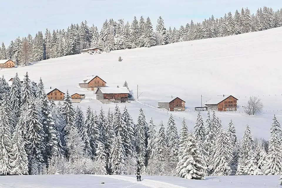 Landschaft und Sehenswürdigkeiten in Vorarlberg für Busreise Vorarlberg ab Berlin – Dauer & Komfort