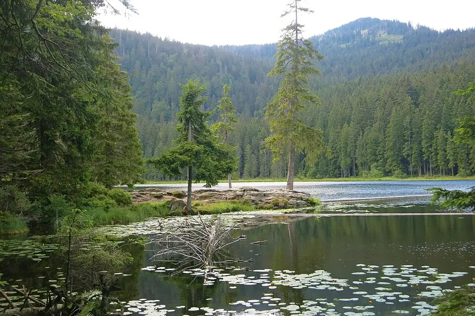 Stimmungsvolle Reiseansicht aus Bayerischen Wald für Busreise Bayerischer Wald mit viel Freizeit – Reisecheck