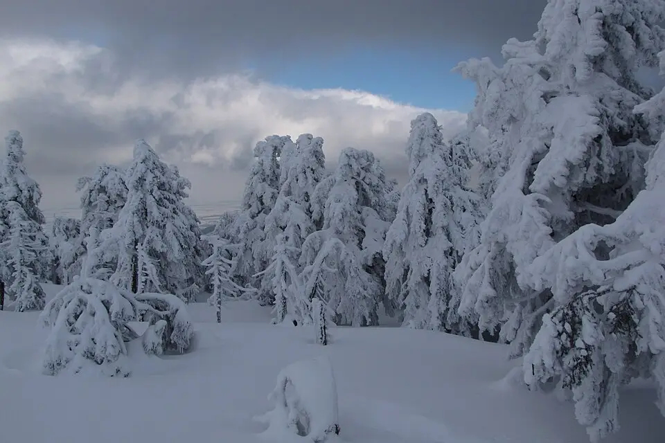 Landschaft und Sehenswürdigkeiten in Harz für Busreise Harz für Paare – ehrlich eingeordnet
