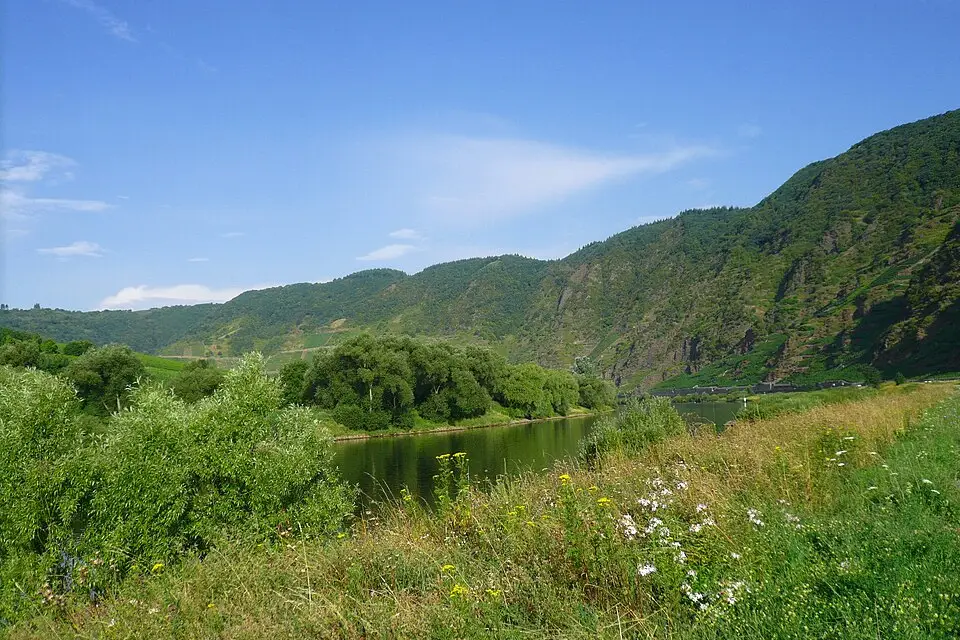 Stimmungsvolle Reiseansicht aus Mosel für Busreise Mosel ab München – Route & Leistungen