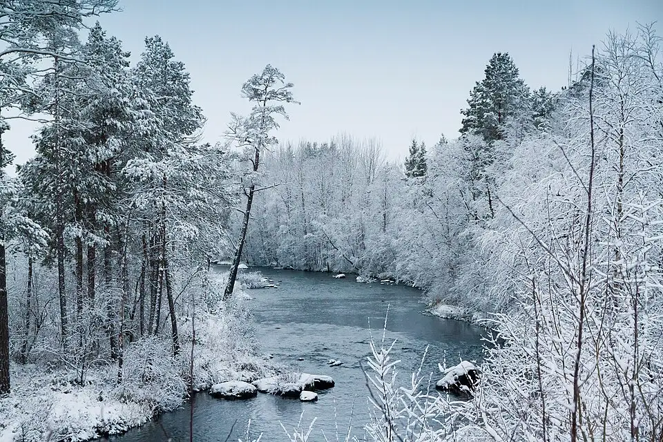 Stimmungsvolle Reiseansicht aus Finnland für Busreise Finnland für Senioren – Reiseguide