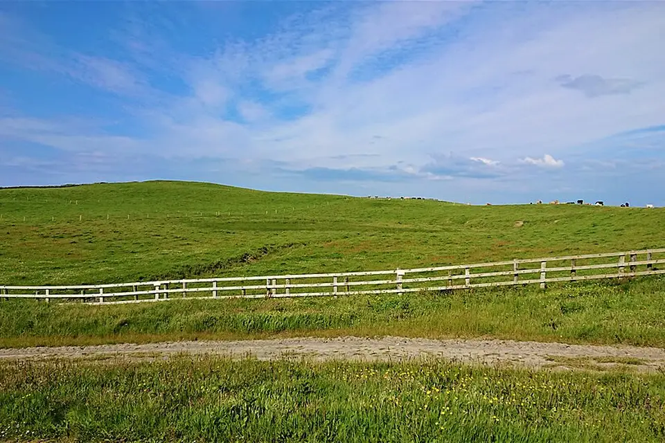Landschaft und Sehenswürdigkeiten in Irland für Naturreise Irland mit dem Bus – Tipps zur Auswahl