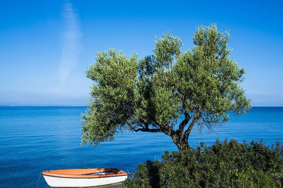Stimmungsvolle Reiseansicht aus griechischem Festland für Busreise Griechisches Festland für Senioren – Reiseguide