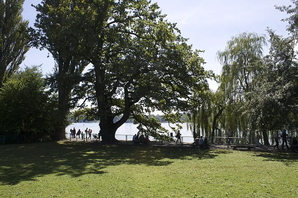 Authentischer Reisemoment in Bodensee – passend zu Busreise Bodensee mit wenig Gehstrecke – ehrlich eingeordnet