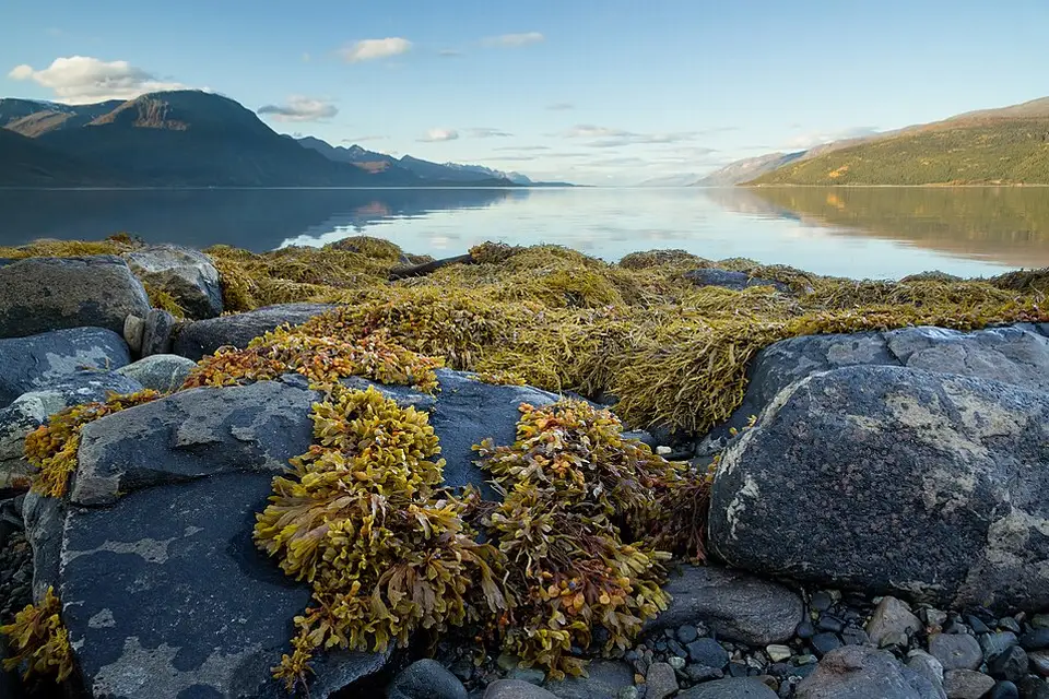 Landschaft und Sehenswürdigkeiten in Norwegische Fjorde für Busreise Norwegische Fjorde ab Frankfurt – Reiseguide