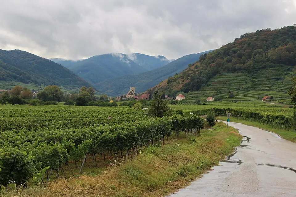 Authentischer Reisemoment in Wachau – passend zu Busreise Wachau ab Frankfurt – ehrlich eingeordnet