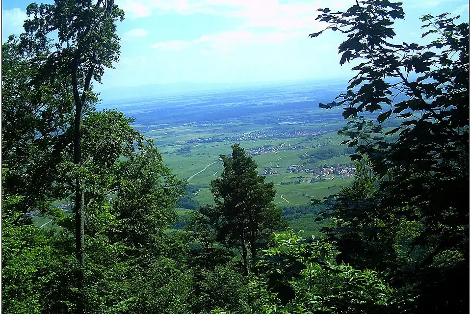 Stimmungsvolle Reiseansicht aus Elsass für Gruppenreise Elsass mit dem Bus – Reisecheck