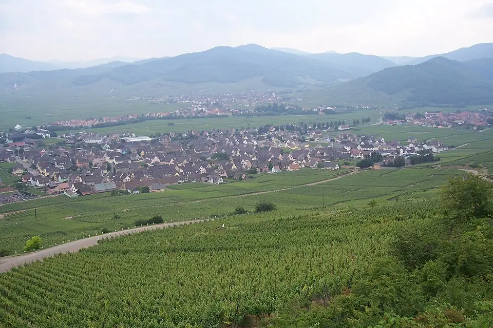 Stimmungsvolle Reiseansicht aus Elsass für Wellnessreise Elsass mit dem Bus – ehrlich eingeordnet