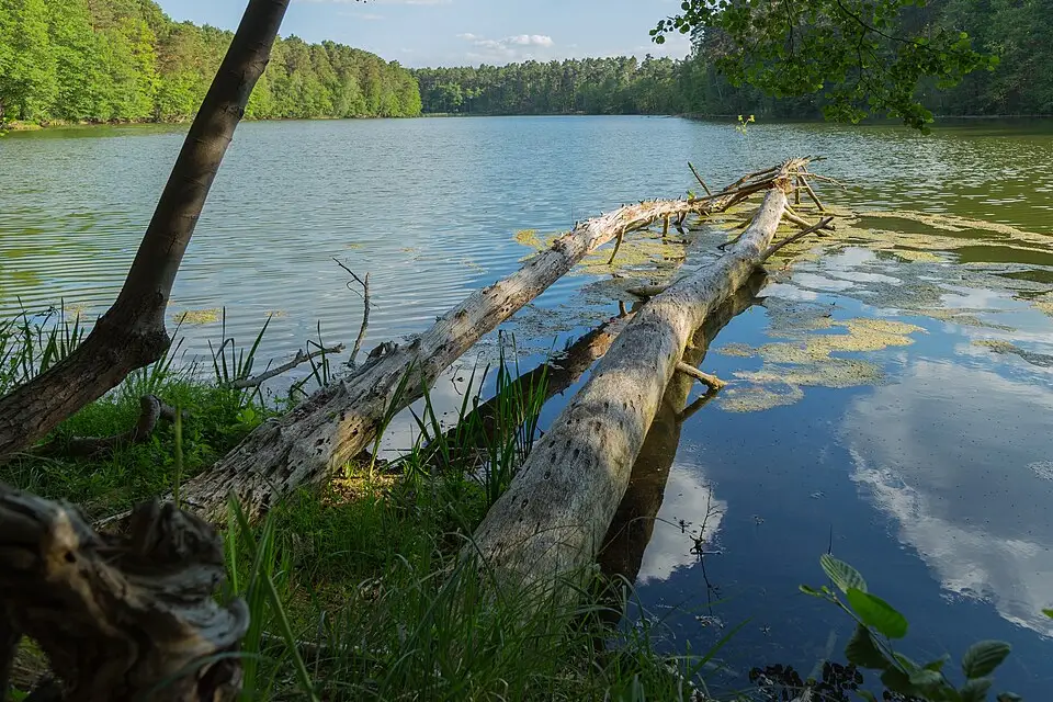 Authentischer Reisemoment in Mecklenburgischen Seenplatte – passend zu Mecklenburgische Seenplatte – Bus-Erlebnisreise