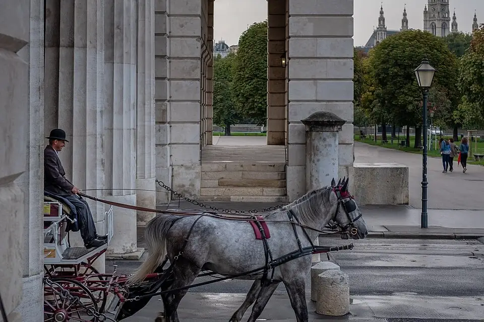 Authentischer Reisemoment in Wien – passend zu Busreise Wien im Sommer – Reisecheck