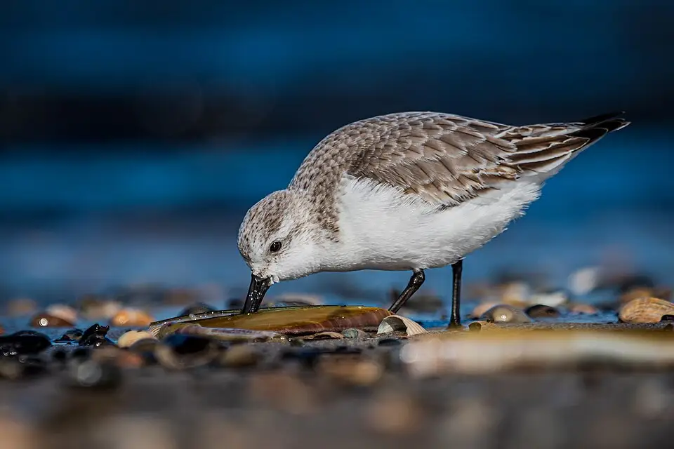 Authentischer Reisemoment in Nordsee – passend zu Weihnachtsreise Nordsee mit dem Bus – ehrlich eingeordnet