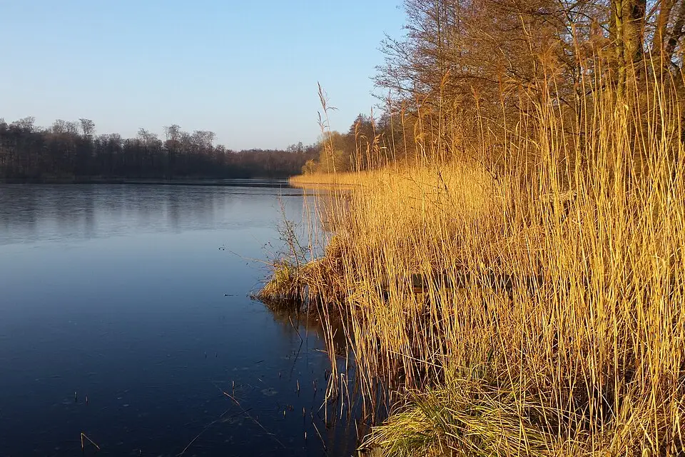 Stimmungsvolle Reiseansicht aus Mecklenburgischen Seenplatte für Kurzreise Mecklenburgische Seenplatte mit dem Bus – Reiseguide
