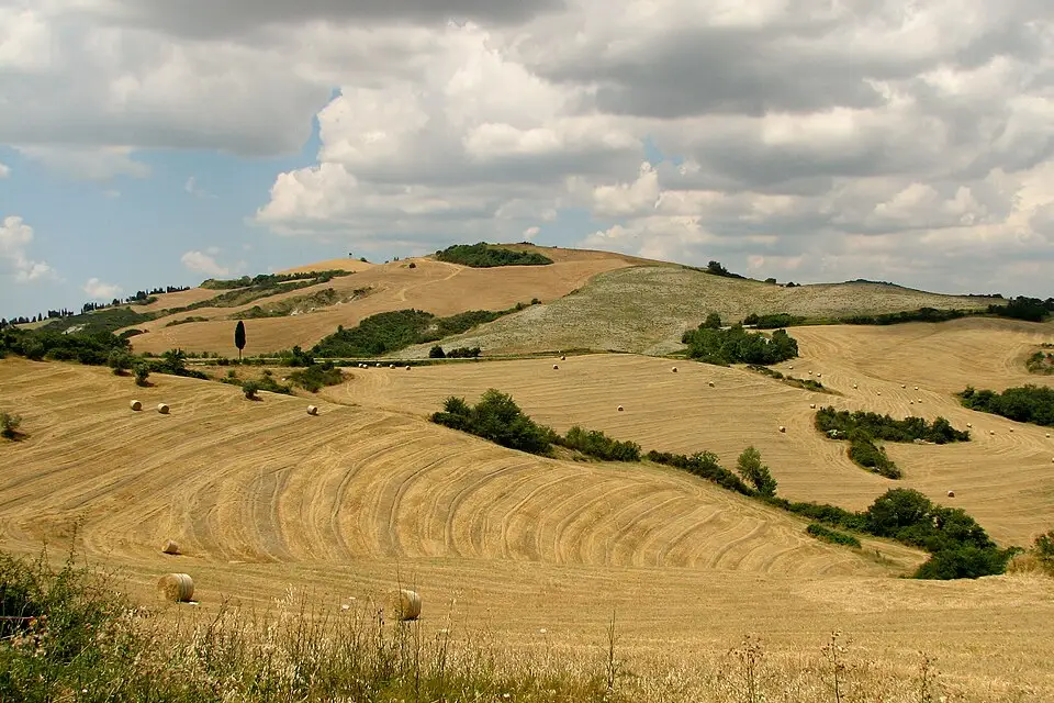 Landschaft und Sehenswürdigkeiten in Toskana für Kurzreise Toskana mit dem Bus – Reisecheck