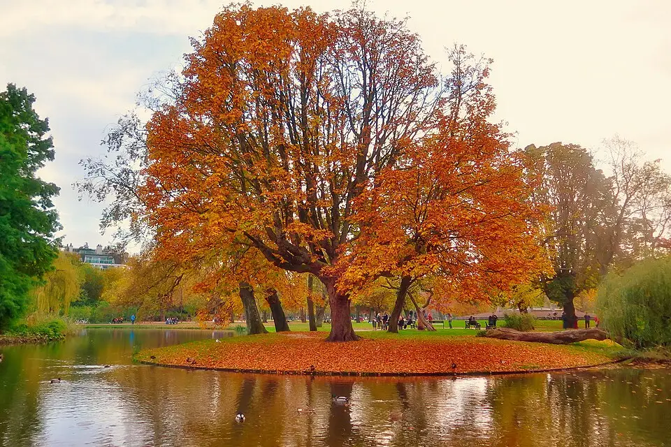 Landschaft und Sehenswürdigkeiten in Amsterdam für Busreise Amsterdam – Route & Leistungen