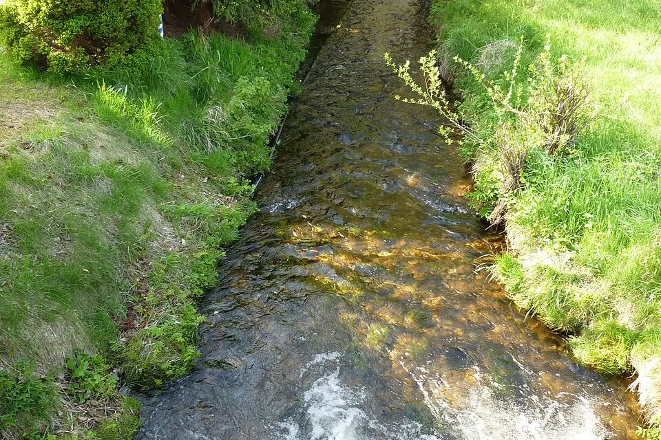 Authentischer Reisemoment in Bayerischen Wald – passend zu Genussreise Bayerischer Wald mit dem Bus – Dauer & Komfort