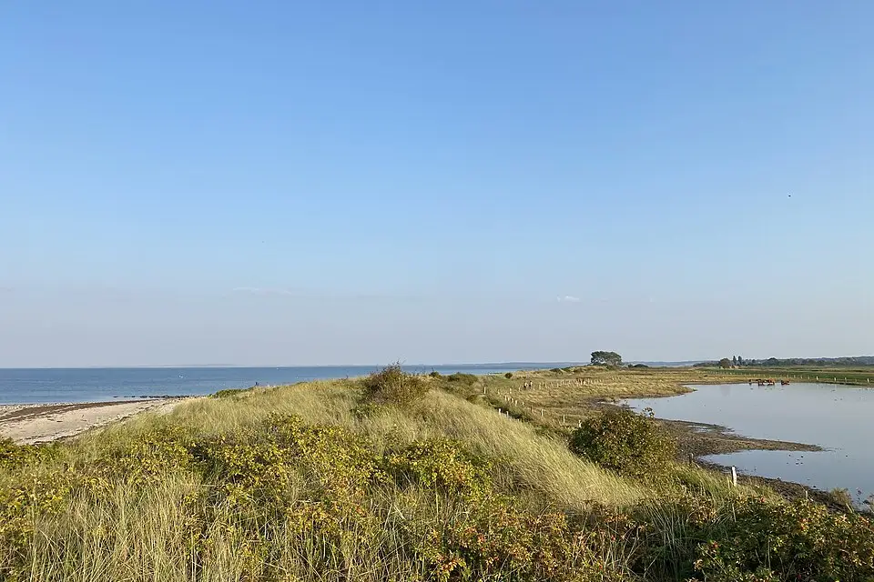 Authentischer Reisemoment in Ostsee – passend zu Busreise Ostsee im Frühling – Reisecheck