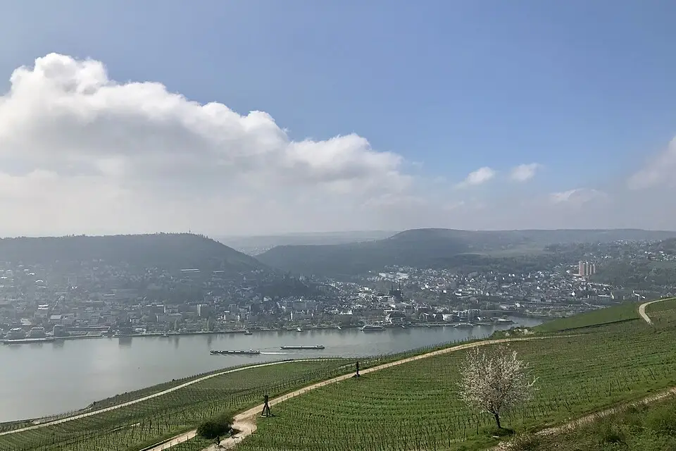 Stimmungsvolle Reiseansicht aus Rhein für Busreise Romantischer Rhein Angebote vergleichen – Reisecheck