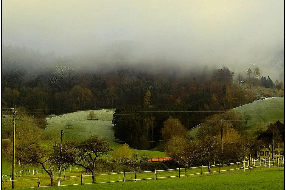 Landschaft und Sehenswürdigkeiten in Schwarzwald für Busreise Schwarzwald im Frühling – ehrlich eingeordnet