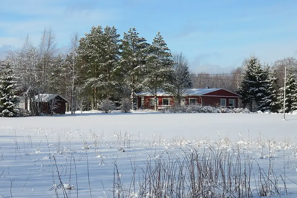 Authentischer Reisemoment in Finnland – passend zu Busreise Finnland für Paare – Tipps zur Auswahl