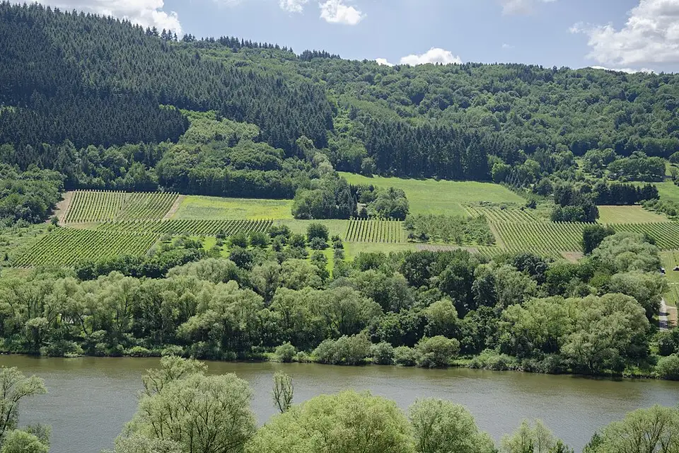 Landschaft und Sehenswürdigkeiten in Mosel für Busreise Mosel für Alleinreisende – Route & Leistungen