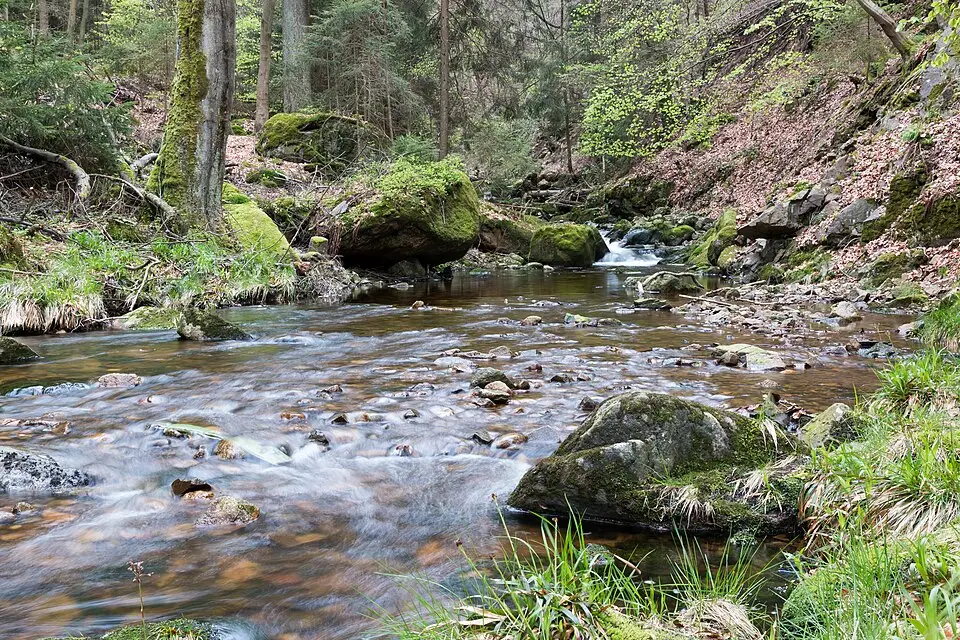 Stimmungsvolle Reiseansicht aus Harz für Erlebnisreise Harz mit dem Bus – Dauer & Komfort