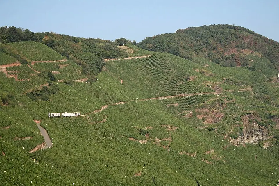 Authentischer Reisemoment in Mosel – passend zu Busreise Mosel in kleiner Gruppe – ehrlich eingeordnet