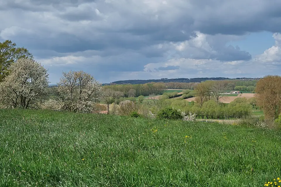 Landschaft und Sehenswürdigkeiten in Flandern für Busreise Flandern mit Rollator – Dauer & Komfort