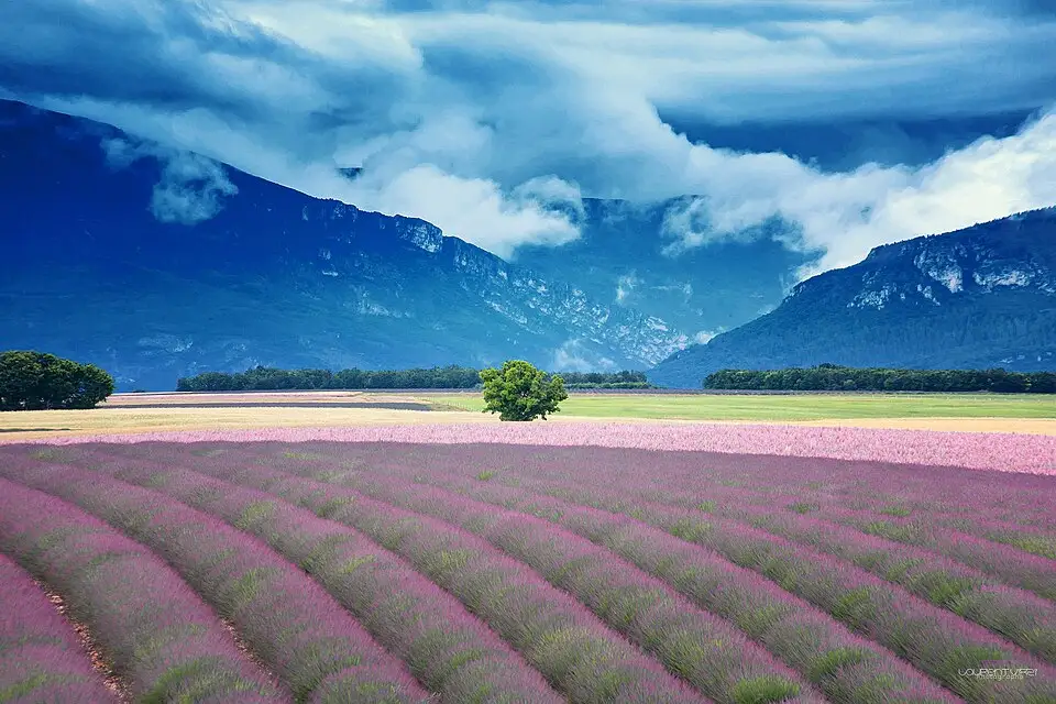 Authentischer Reisemoment in Provence – passend zu Busreise Provence mit 4-Sterne-Hotel – Tipps zur Auswahl