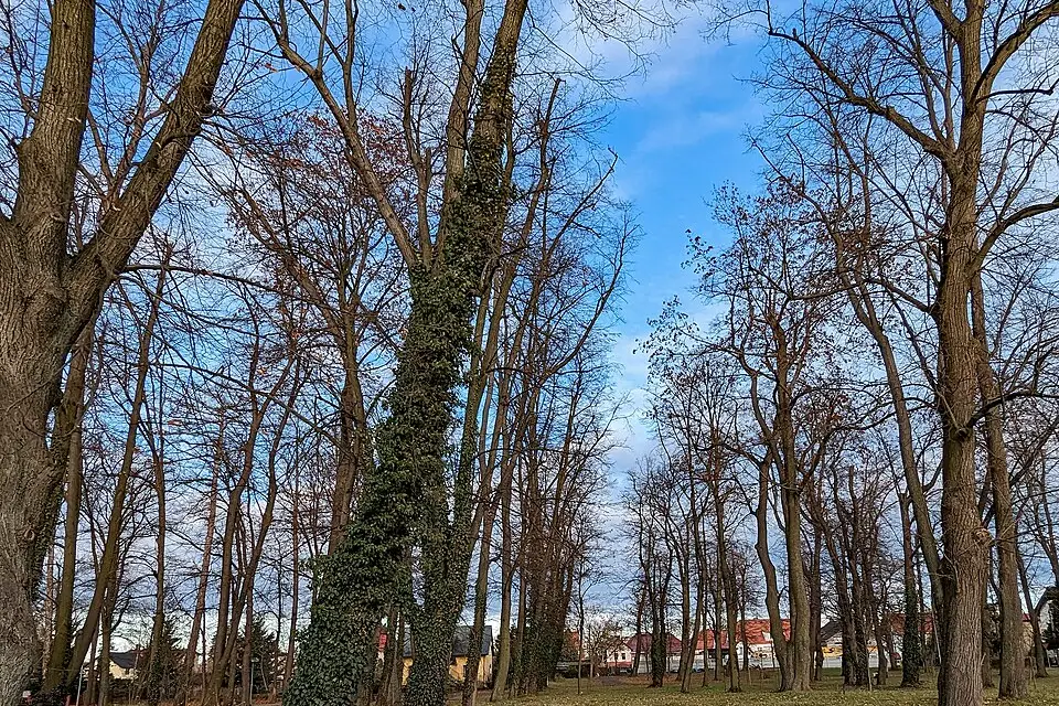 Authentischer Reisemoment in Vorarlberg – passend zu Vereinsreise Vorarlberg mit dem Bus – Reiseguide