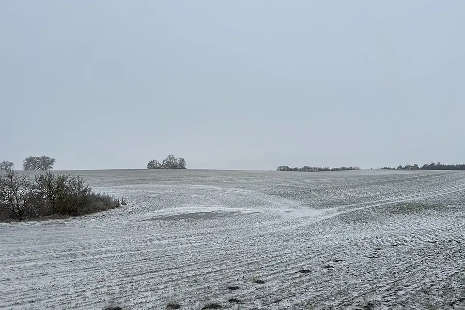 Landschaft und Sehenswürdigkeiten in Rügen für Busreise Rügen Angebote vergleichen – Dauer & Komfort