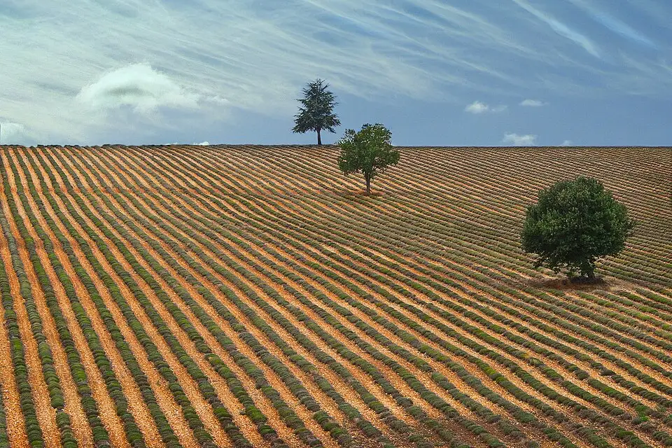 Authentischer Reisemoment in Provence – passend zu Beste Reisezeit für eine Busreise Provence – Reiseguide