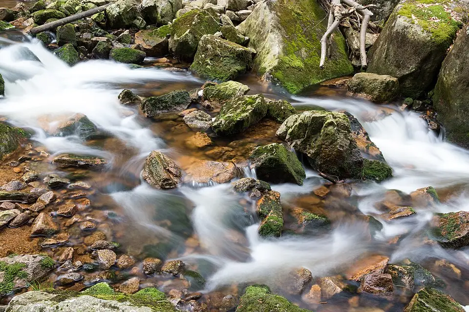 Stimmungsvolle Reiseansicht aus Harz für Genussreise Harz mit dem Bus – Route & Leistungen